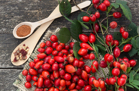 Rosehip Oil for Radiant Skin: The Ultimate Face Oil Guide - Marianella