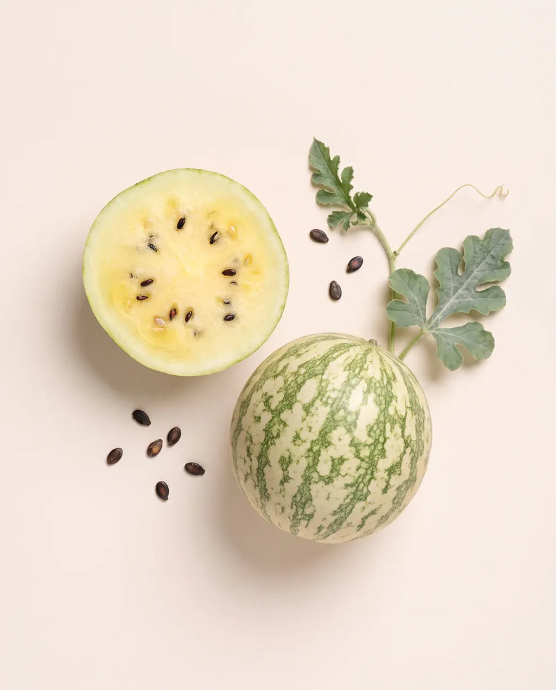 Kalahari Melon Seed Oil