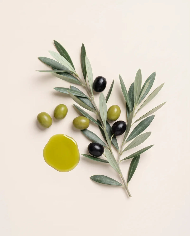 Olive Oil