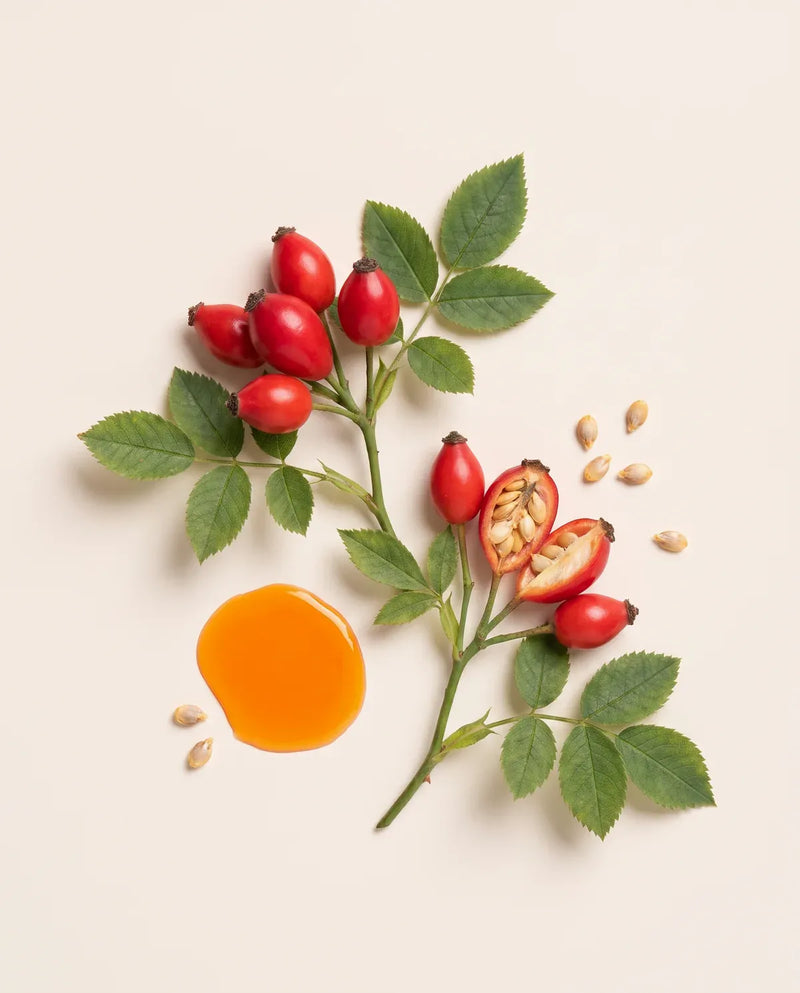 Rosehip Seed Oil