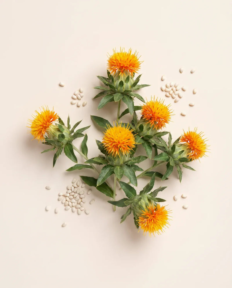 Safflower Seed Oil