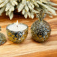 Limited Edition Frosted Birchwood Pine Gold Pineapple Candle - Marianella