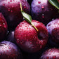 Plum Face Oil - Marianella